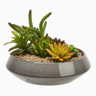 product_25