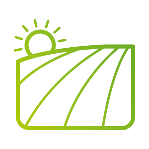 Przyjazne środowisko